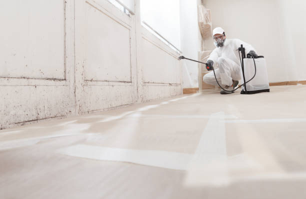 24/7 Emergency Mold Remediation experts in Madison, IL